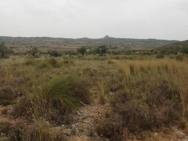 Terreno en venta en el Vinalopó Mitjà / El Vinalopó Medio, Valencia