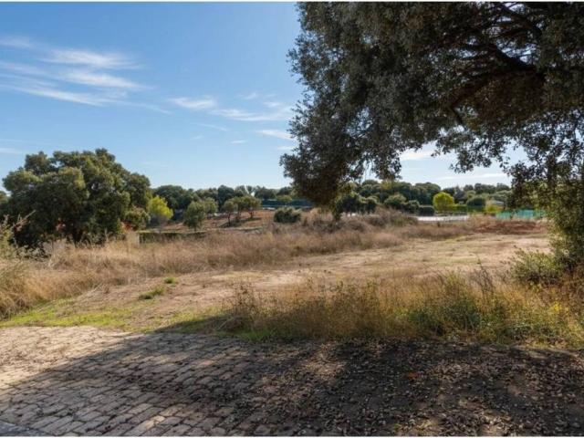 Terreno en venta en Hontoba, Guadalajara