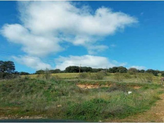 Terreno en venta en Horcajo De Los Montes, Castilla-La Mancha