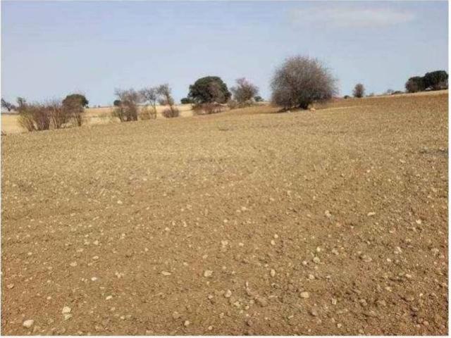Terreno en venta en Horcajo De Santiago