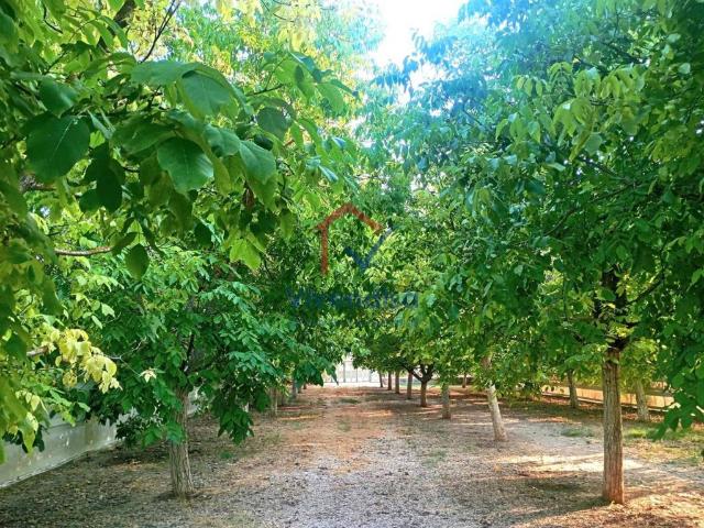 Terreno en venta en Horche, Castilla-La Mancha