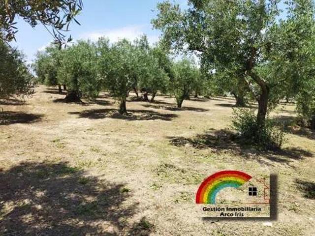 Terreno en venta en Hormigos, Castilla-La Mancha