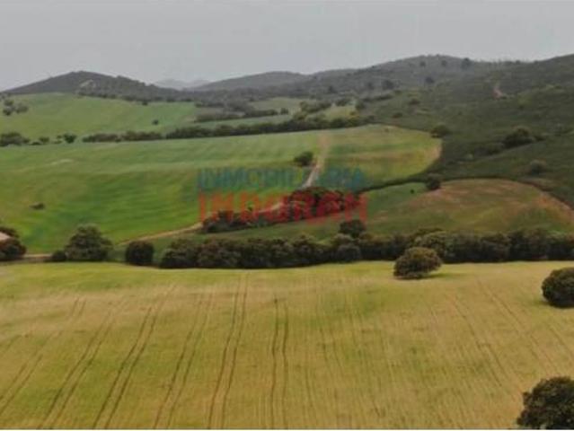 Terreno en venta en Tierra de Barros, Extremadura