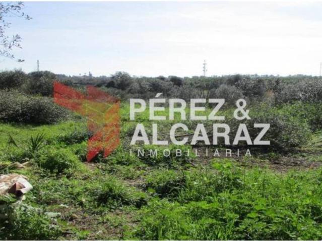 Terreno en venta en Hornachuelos, Andalucía