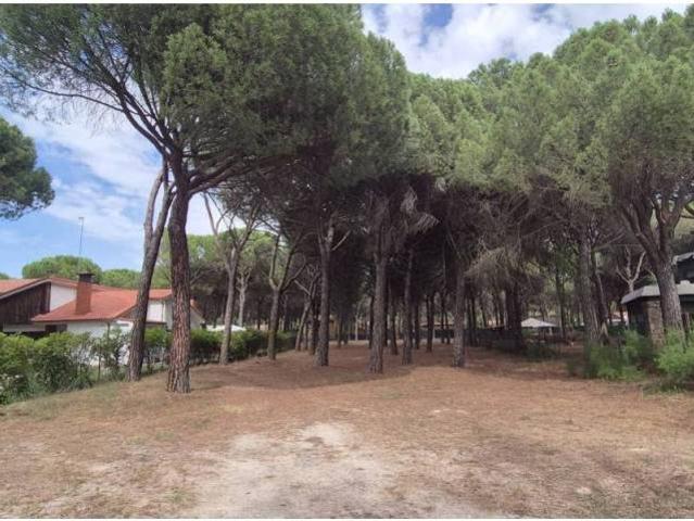 Terreno en venta en Hornillos De Eresma, Castilla y León