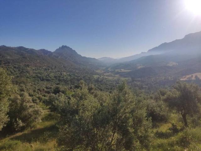 Terreno en venta en Terra Alta, Catalunya