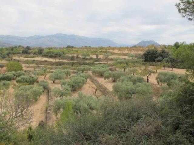 Terreno en venta en Horta De Sant Joan