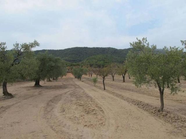 Terreno en venta en Terra Alta, Catalunya