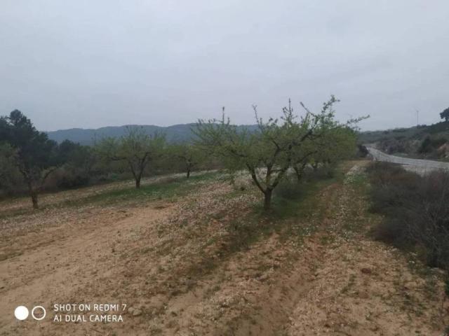 Terreno en venta en Horta De Sant Joan