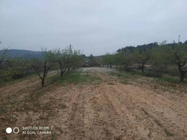Terreno en venta en Terra Alta, Catalunya