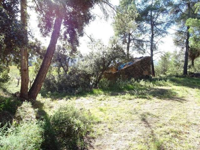 Terreno en venta en Terra Alta, Catalunya