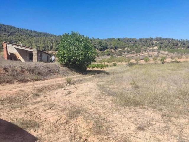 Terreno en venta en Horta De Sant Joan