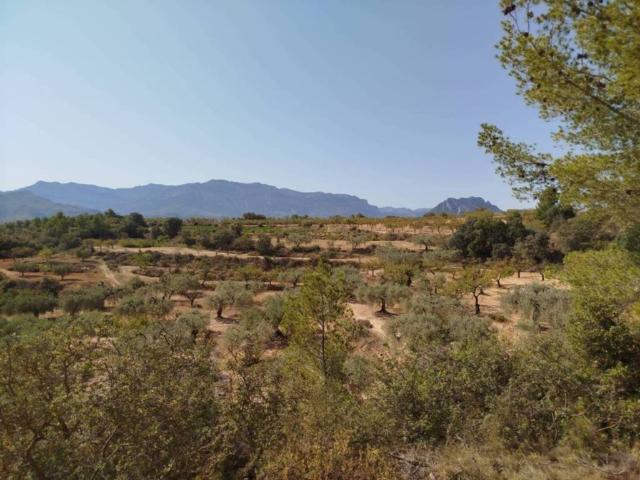 Terreno en venta en Horta De Sant Joan