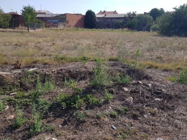 Terreno en venta en Hospital De Órbigo, Castilla y León