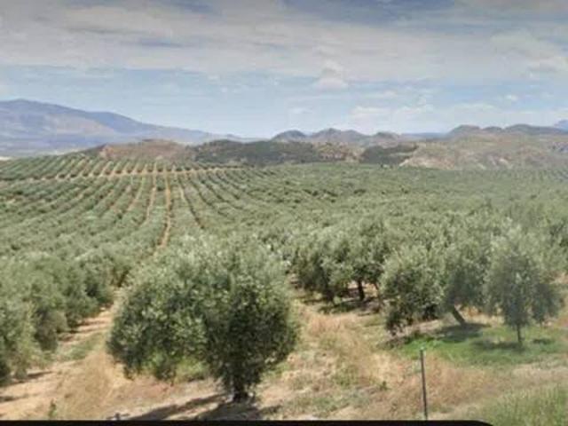 Terreno en venta en Hoya-gonzalo, Castilla-La Mancha
