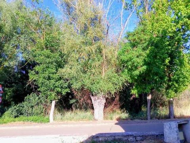 Terreno en venta en Hoyales De Roa, Castilla y León