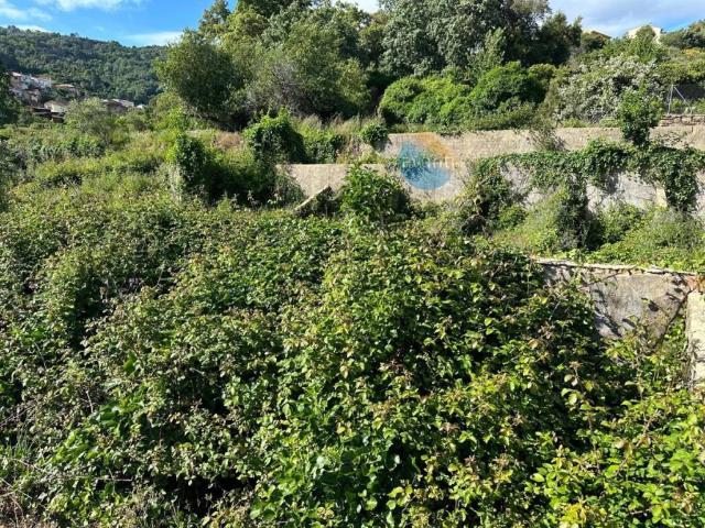 Terreno en venta en Hoyos
