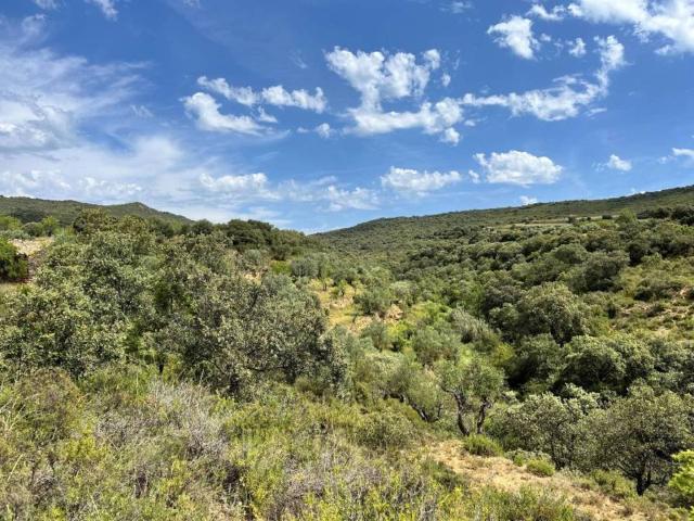 Terreno en venta en Somontano de Barbastro, Aragón