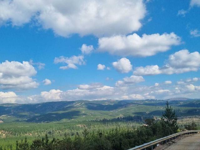 Terreno en venta en Monte Grande, Maule