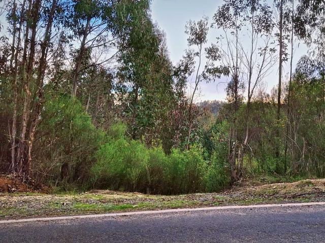 Terreno en venta en Concepción, Provincia de Concepción