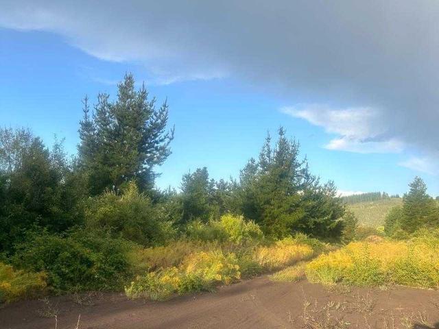 Terreno en venta en Concepción, Biobío