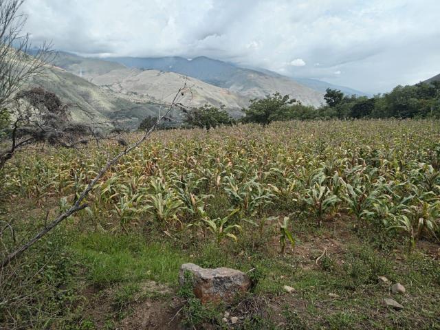 Terreno venta en Huanuco, Huánuco