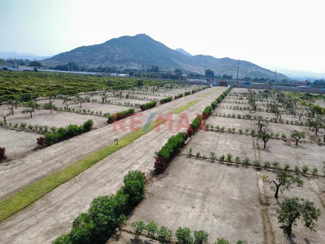 Terreno venta en Huaral, Lima Metropolitana
