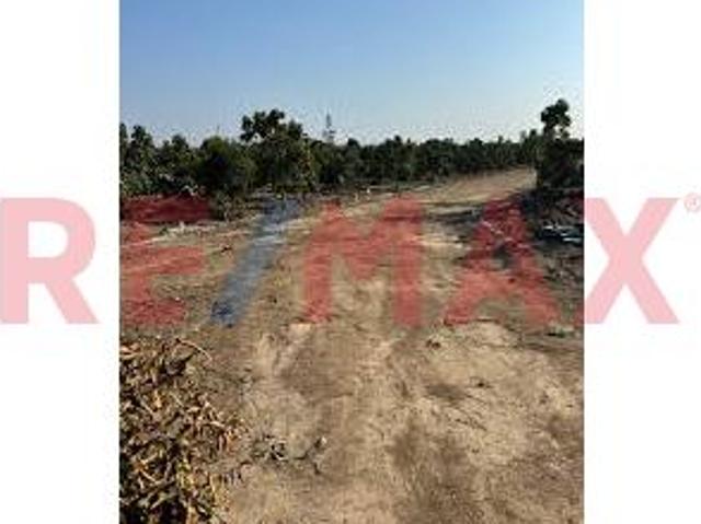 Terreno venta en Huaral, Lima Metropolitana