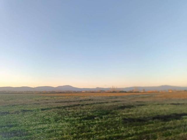 Terreno en venta en Huélaga