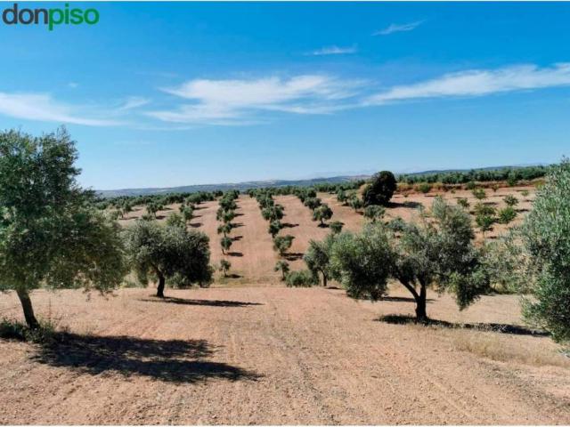Terreno en venta en Huelma, Jaén