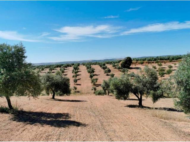Terreno en venta en Huelma, Jaén