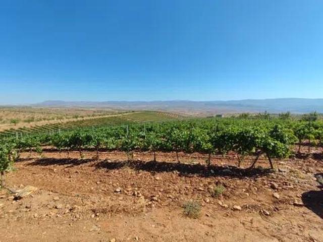 Terreno en venta en Comarca de Guadix, Andalucía