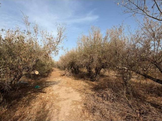 Terreno en venta en Visiedo, Huércal De Almería