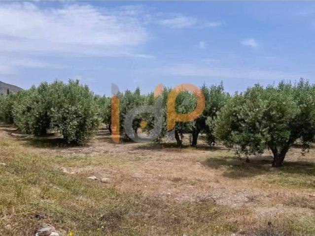 Terreno en venta en Huércal-overa, Andalucía