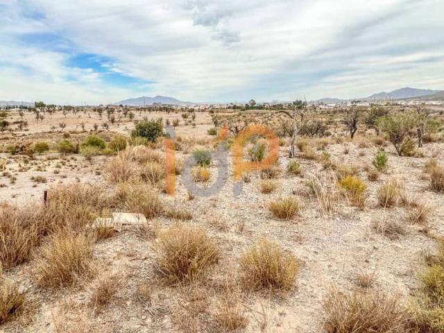 Terreno en venta en Huércal-overa, Andalucía