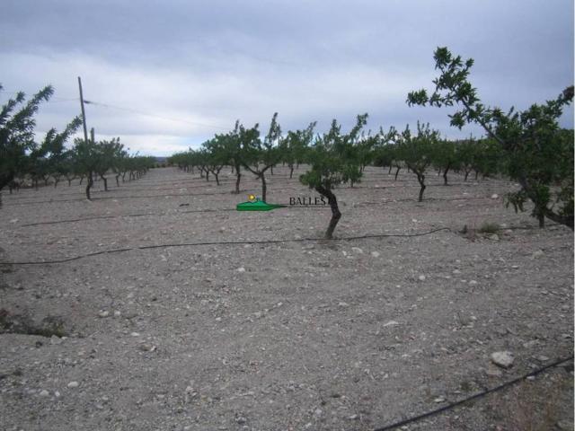 Terreno en venta en Huércal-overa, Andalucía