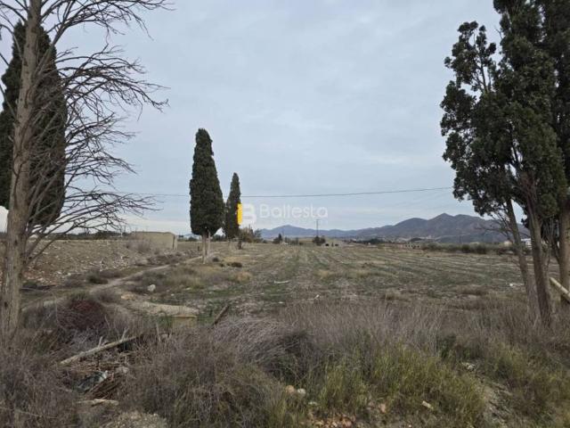 Terreno en venta en Huércal-overa, Andalucía
