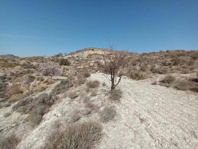 Terreno en venta en Huércal-overa, Andalucía