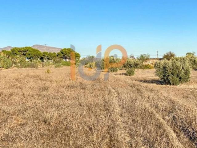 Terreno en venta en Huércal-overa, Andalucía