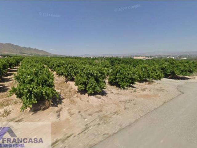 Terreno en venta en Huércal-overa, Andalucía
