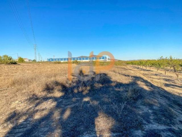 Terreno en venta en Huércal-overa, Andalucía