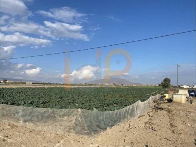 Terreno en venta en Huércal-overa, Andalucía