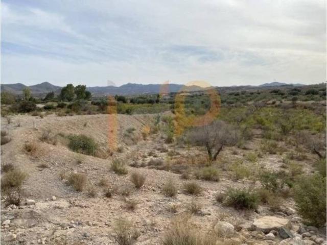 Terreno en venta en Huércal-overa, Andalucía