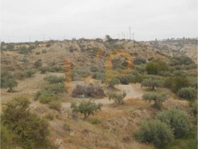 Terreno en venta en Huércal-overa, Andalucía