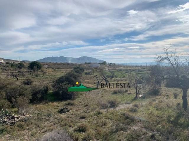 Terreno en venta en Huércal-overa, Andalucía