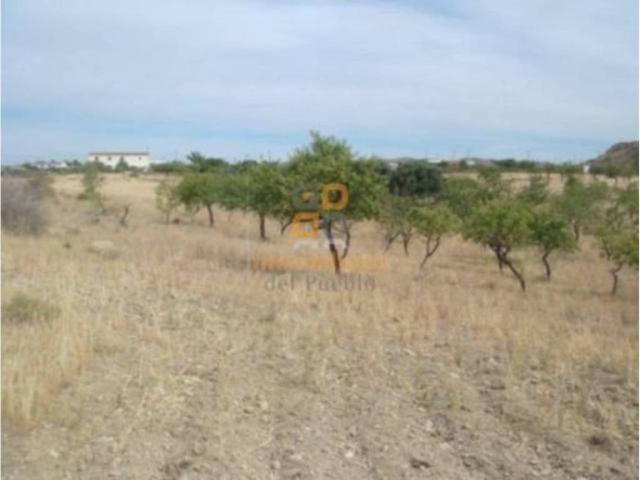 Terreno en venta en Huércal-overa, Andalucía