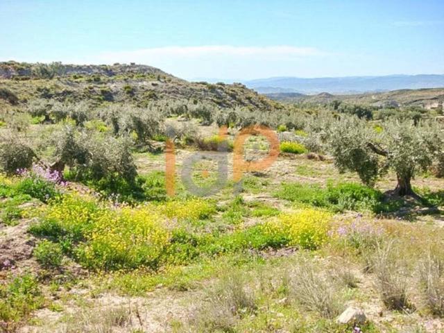 Terreno en venta en Huércal-overa, Andalucía