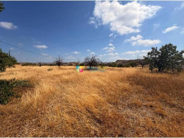 Terreno en venta en Huércal-overa, Andalucía