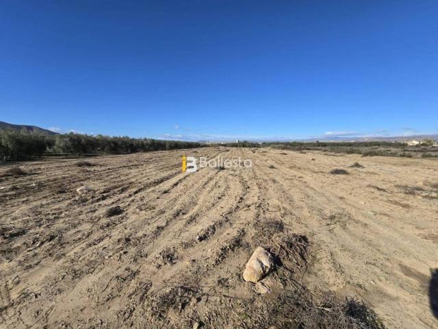 Terreno en venta en Huércal-overa, Andalucía