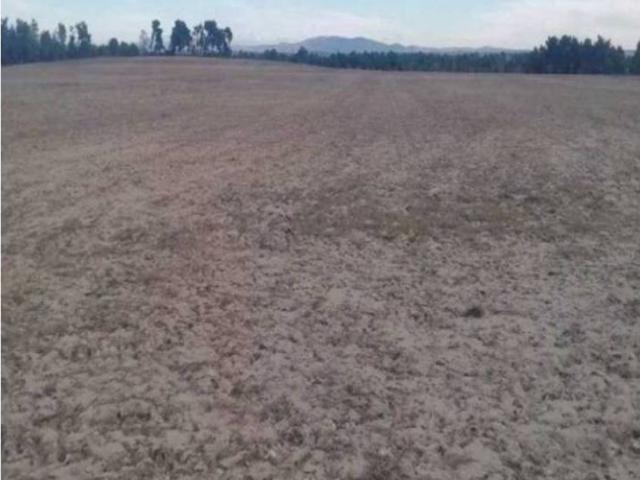 Terreno en venta en Huerta De Rey, Castilla y León
